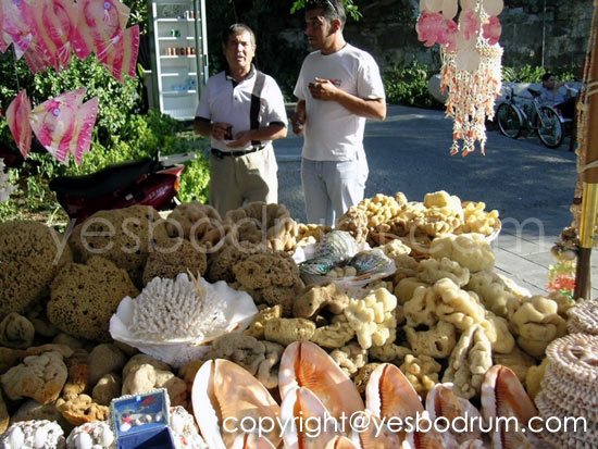 bodrum turkey photos  
