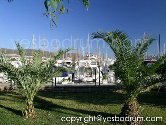 bodrum turkey photos  