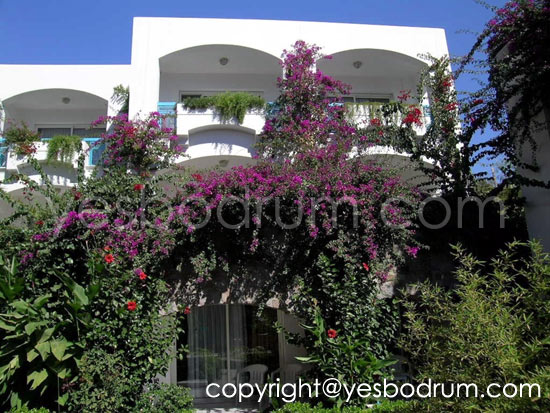 bodrum turkey photos  